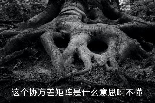 這個協(xié)方差矩陣是什么意思啊不懂