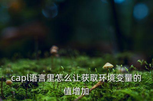 capl語言里怎么讓獲取環(huán)境變量的值增加