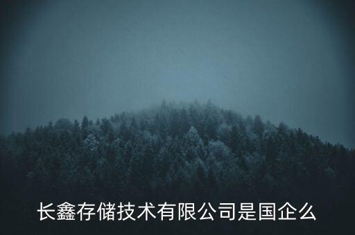 長鑫存儲，有人知道紫光國芯 跟 長鑫存儲是什么關(guān)系嗎懂內(nèi)存的來