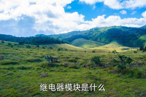 繼電器模塊，繼電器輸出模塊是什么求詳細(xì)資料