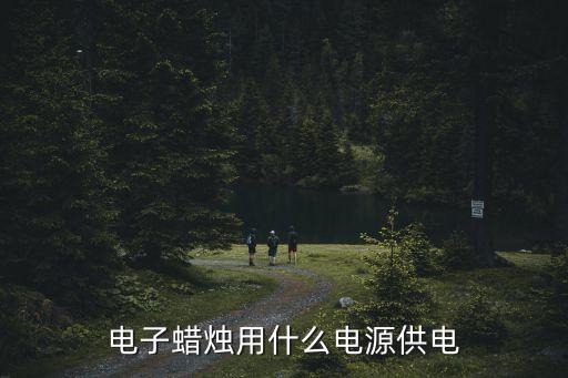 電子蠟燭用什么電源供電