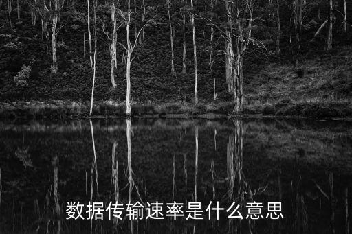 數(shù)據(jù)傳輸速率是什么意思