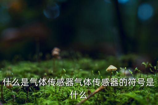 什么是氣體傳感器氣體傳感器的符號是什么