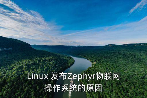 Linux 發(fā)布Zephyr物聯(lián)網(wǎng)操作系統(tǒng)的原因