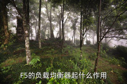 負載均衡器，F(xiàn)5的負載均衡器起什么作用