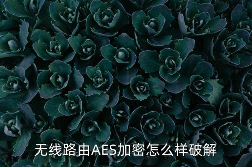 aes加密，AES加密技術(shù)