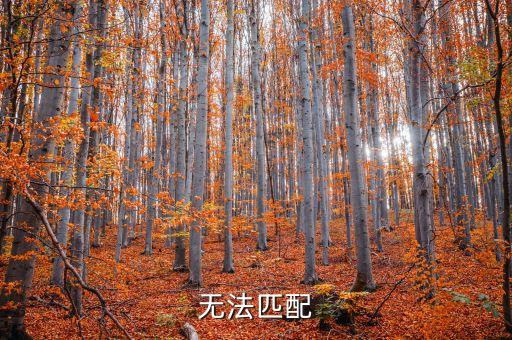 不匹配，無法匹配