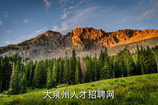 都工業(yè)網(wǎng)，大泉州人才招聘網(wǎng)