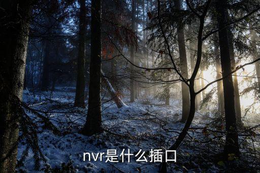 nvr是什么插口