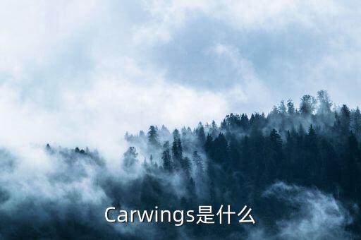 車載信息服務(wù)，車載信息服務(wù)屬于什么會計科目