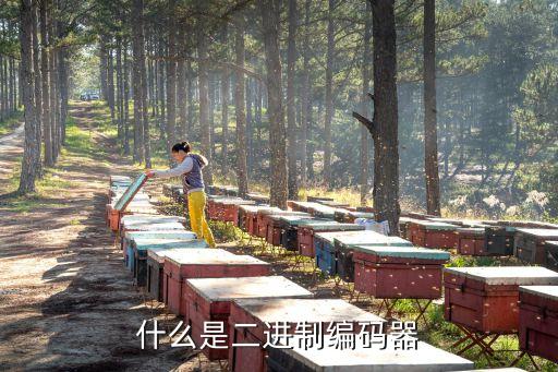 什么是二進制編碼器
