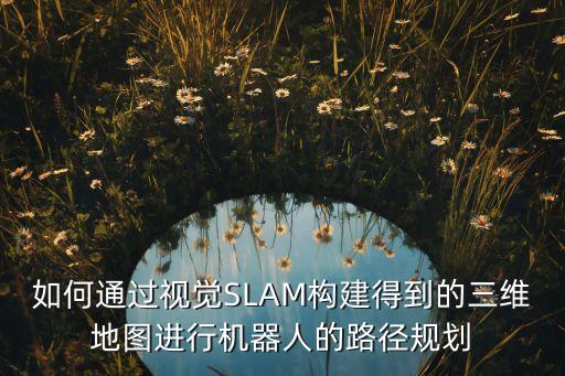如何通過視覺SLAM構(gòu)建得到的三維地圖進(jìn)行機器人的路徑規(guī)劃