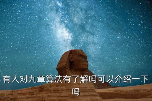 有人對九章算法有了解嗎可以介紹一下嗎