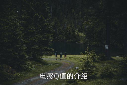 電感Q值，電感Q值的介紹