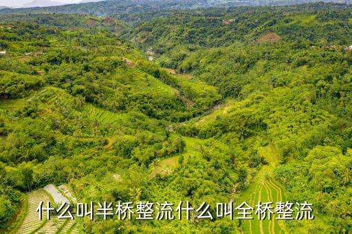 什么叫半橋整流什么叫全橋整流