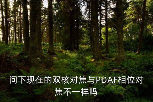 問下現(xiàn)在的雙核對焦與PDAF相位對焦不一樣嗎