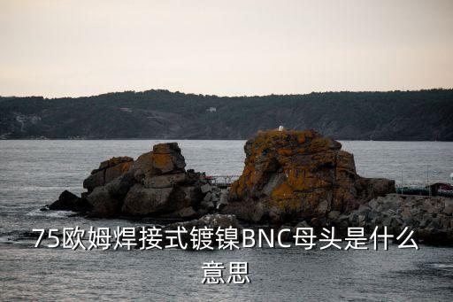 75歐姆焊接式鍍鎳BNC母頭是什么意思