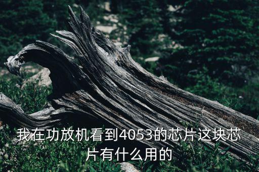 我在功放機(jī)看到4053的芯片這塊芯片有什么用的