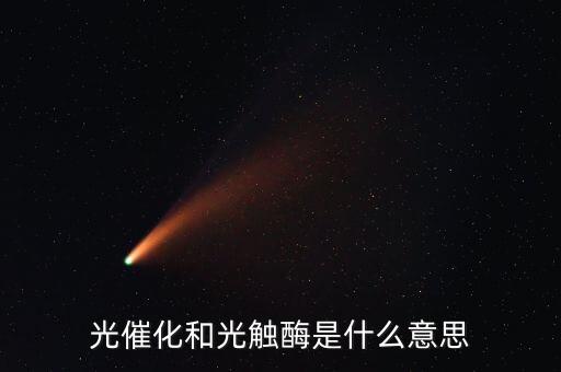 光催化和光觸酶是什么意思