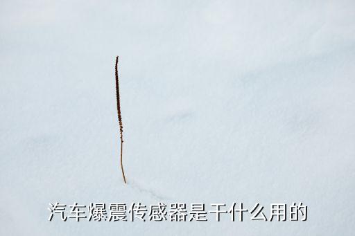 汽車爆震傳感器是干什么用的