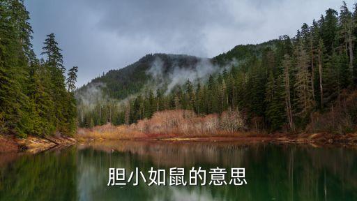 膽小如鼠的意思