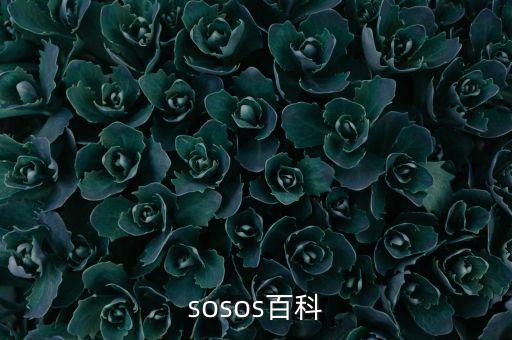 sosos，sosos 是什么意思我不明白