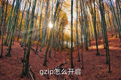 gzip怎么開啟