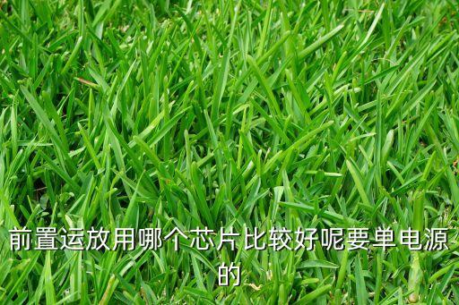 前置運放用哪個芯片比較好呢要單電源的
