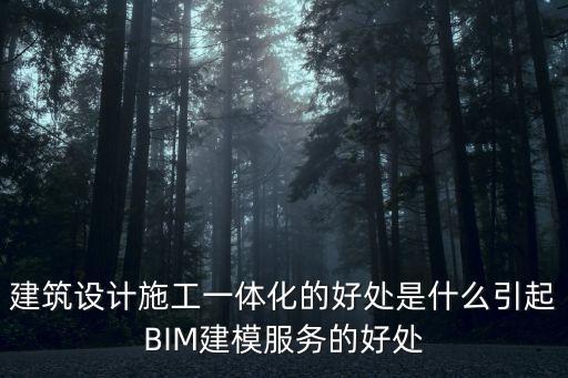 一體化設(shè)計(jì)，建筑設(shè)計(jì)施工一體化的好處是什么引起B(yǎng)IM建模服務(wù)的好處