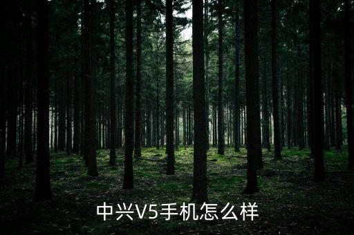 中興V5手機怎么樣