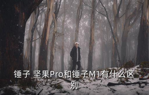 錘子 堅(jiān)果Pro和錘子M1有什么區(qū)別