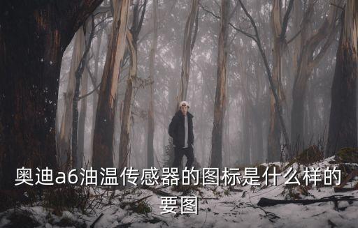 溫度傳感器圖片，溫度傳感器的介紹