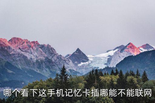 哪個(gè)看下這手機(jī)記憶卡插哪能不能聯(lián)網(wǎng)