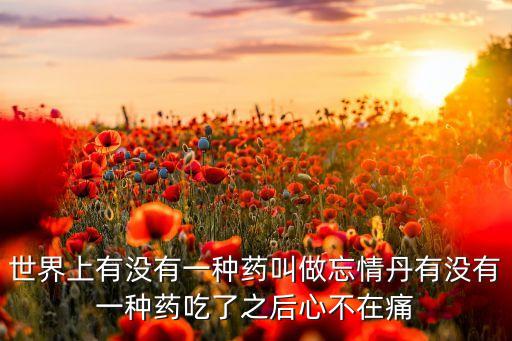 千帆計劃，考研網(wǎng)報選導師