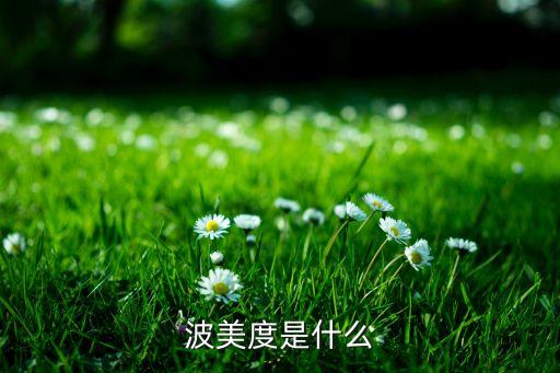 波美度是什么