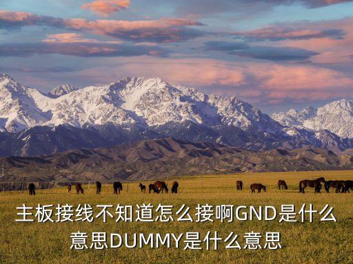 主板接線不知道怎么接啊GND是什么意思DUMMY是什么意思