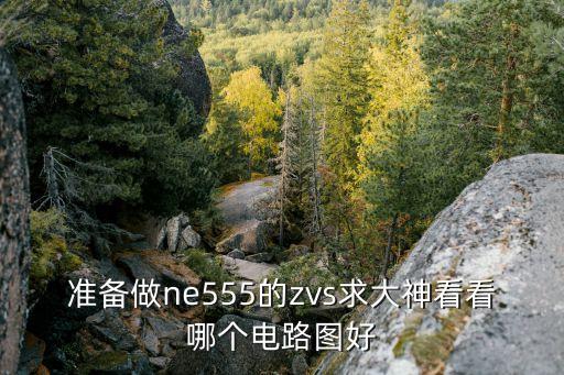 準備做ne555的zvs求大神看看哪個電路圖好