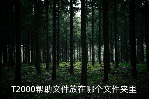 T2000幫助文件放在哪個文件夾里