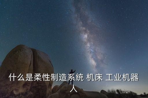 什么是柔性制造系統(tǒng) 機(jī)床 工業(yè)機(jī)器人