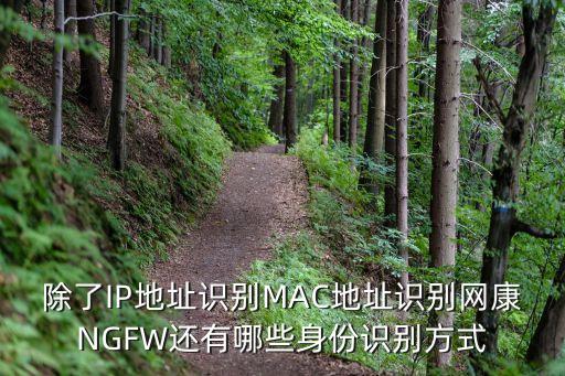 NGFW，除了IP地址識(shí)別MAC地址識(shí)別網(wǎng)康NGFW還有哪些身份識(shí)別方式
