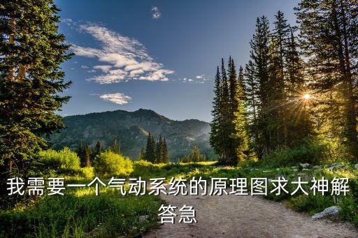 我需要一個氣動系統(tǒng)的原理圖求大神解答急