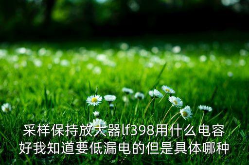 lf398，LF398的保持和采樣時間要求是多少