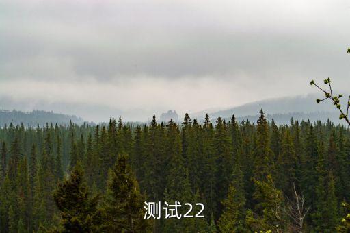 測試22