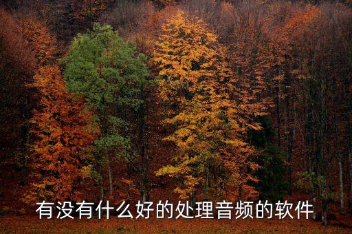 有沒(méi)有什么好的處理音頻的軟件