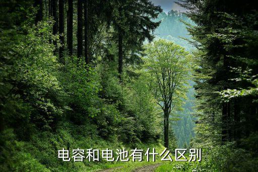電容和電池有什么區(qū)別