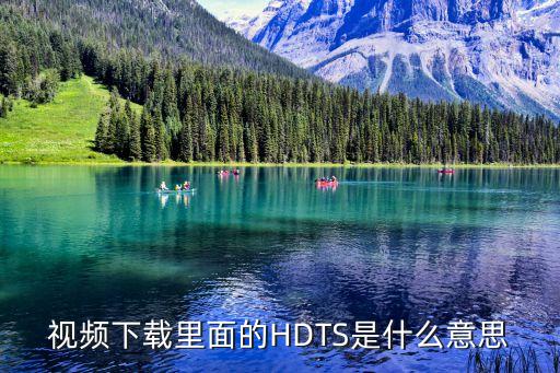 hdts，hdTS是什么