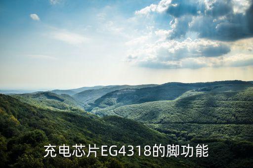 屹晶微，EG4001是什么牌子的IC