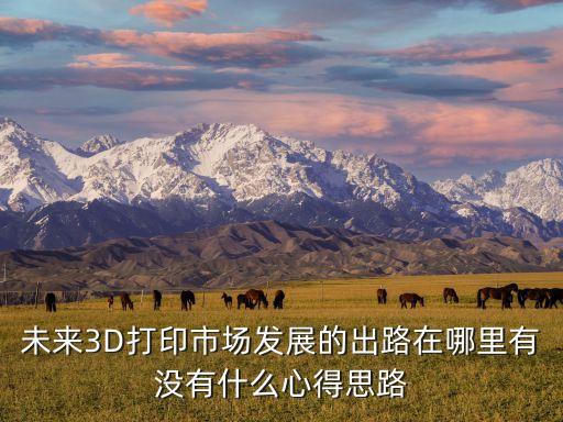 未來3D打印市場發(fā)展的出路在哪里有沒有什么心得思路