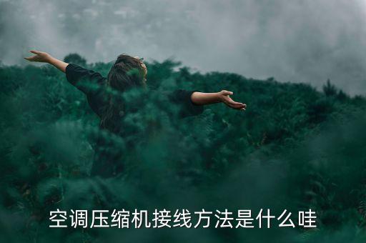 空調(diào)壓縮機(jī)接線圖，空調(diào)壓縮機(jī)接線方法是什么哇