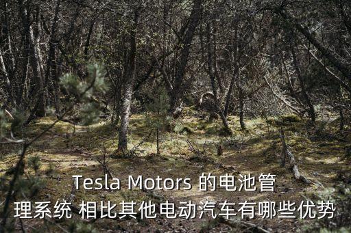 Tesla Motors 的電池管理系統(tǒng) 相比其他電動汽車有哪些優(yōu)勢